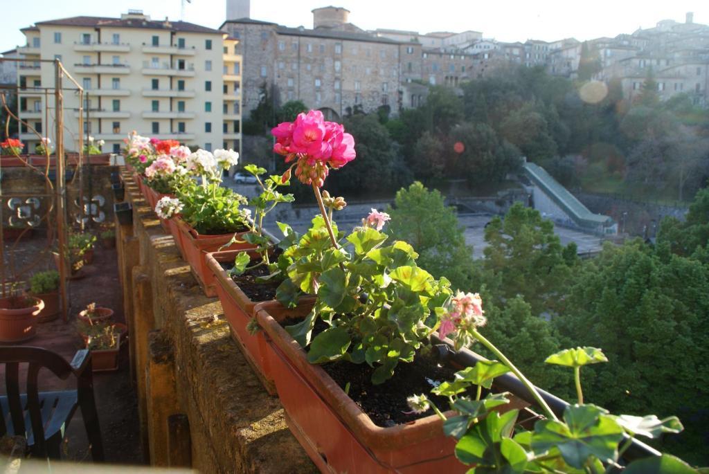 Alla Residenza Domus Minervae Perugia Rom bilde